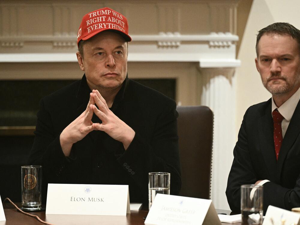 Elon Musk and U.S. Trade Representative Jamieson Greer listen during a cabinet meeting in White House on March 24,.