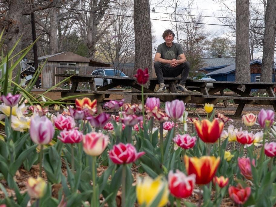 Marco Rozenbroek and a team of volunteers planted thousands of tulips and other flowers at Grovemont Park.