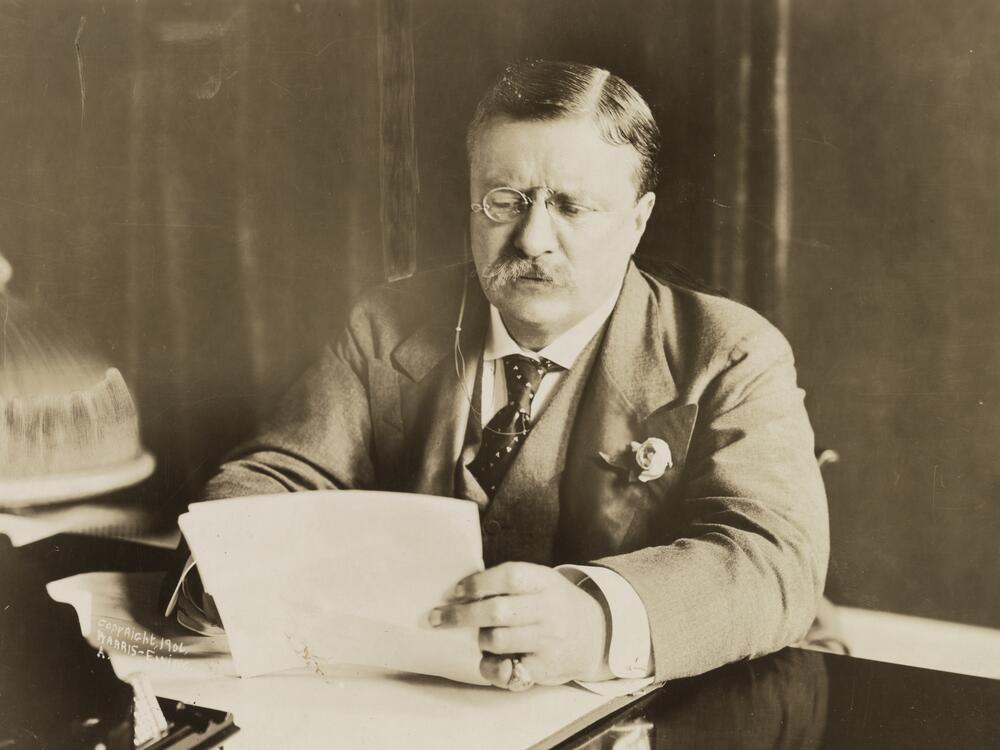 President Theodore Roosevelt at his desk circa 1906. In the early 1900s, he amplified the eugenicist concept of 