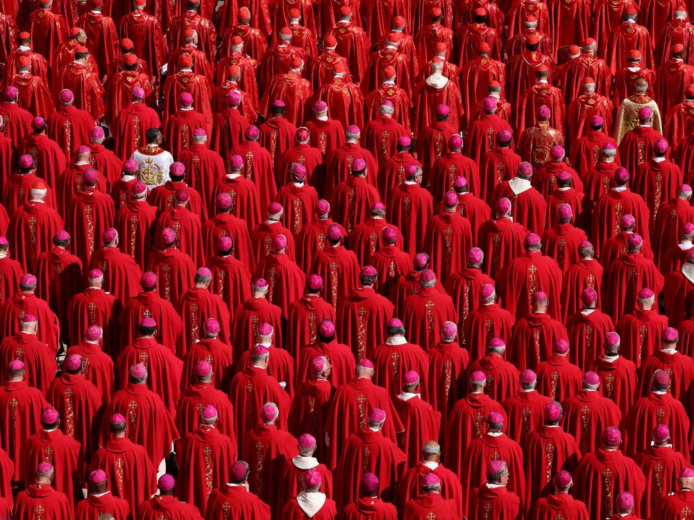 Cardinals attend the funeral of Pope Francis in St. Peter's Square.