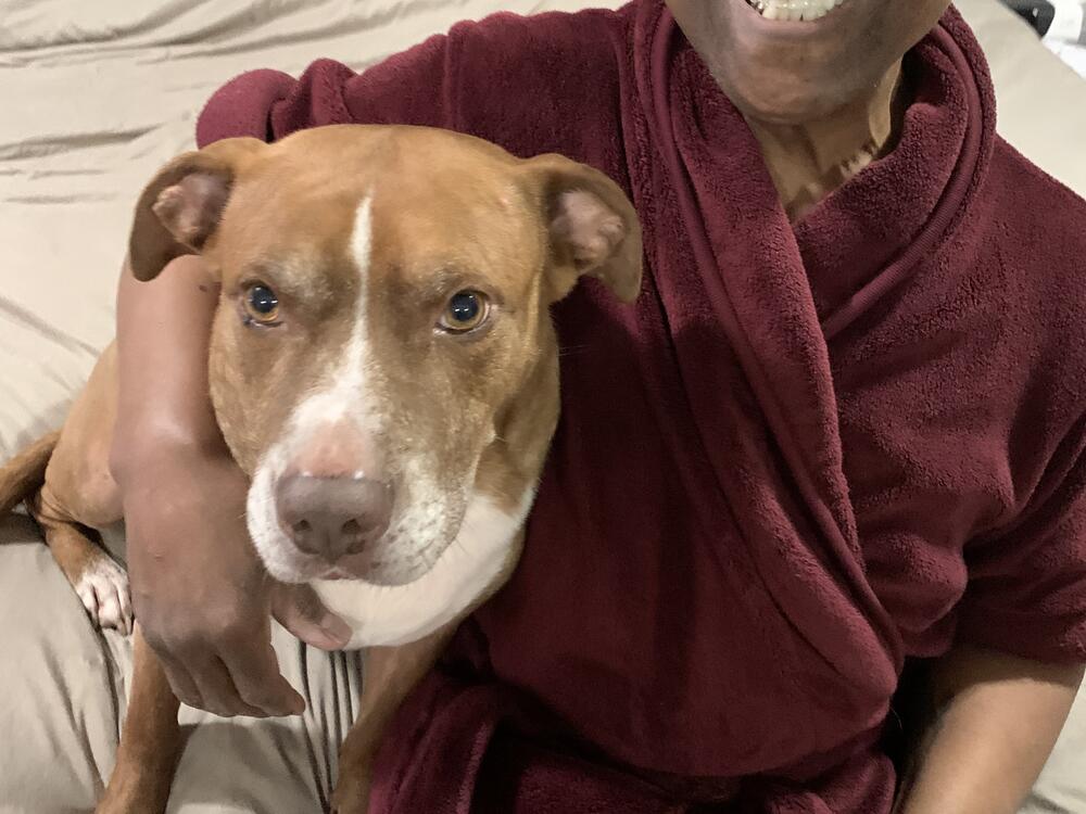 Timber the dog being embraced by Lois Brumfield's husband.