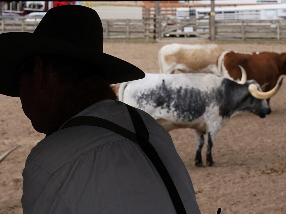 A cowboy waits before driving a herd of Texas longhorns down East Exchange Avenue in the Stockyards National Historic District of Fort Worth, Texas on October 10, 2023.