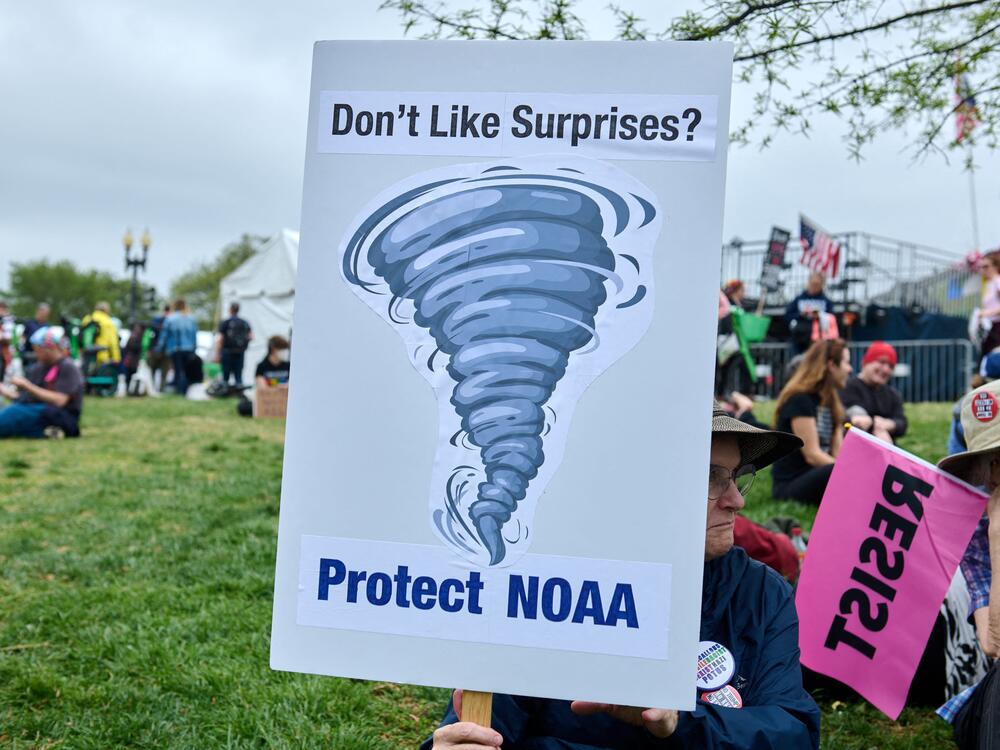 Protesters gather on the National Mall for the 