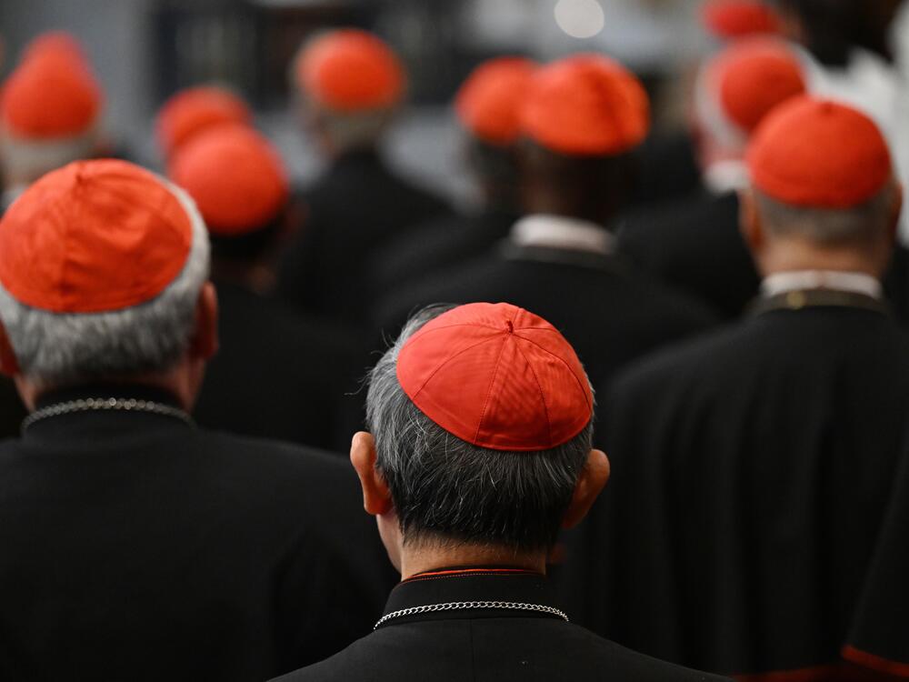 Cardinals mourn Pope Francis in Rome over the weekend.
