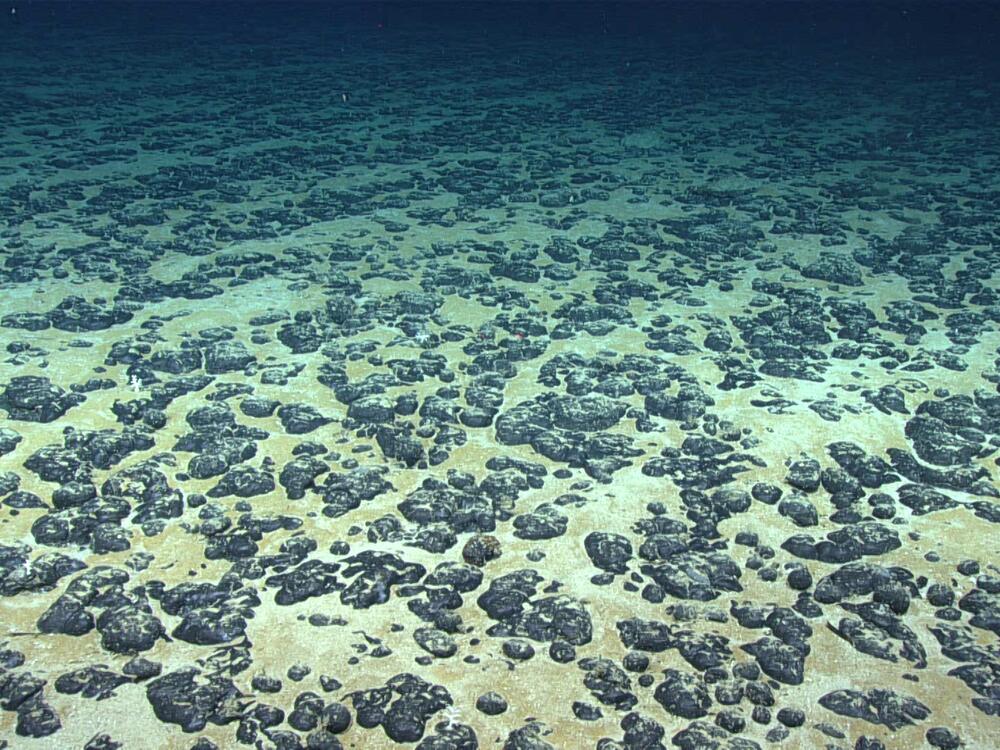 Polymetallic nodules containing certain critical minerals can be found scattered across the seabed in some parts of the ocean. Here, manganese nodules found off the Southeastern U.S. in 2019.
