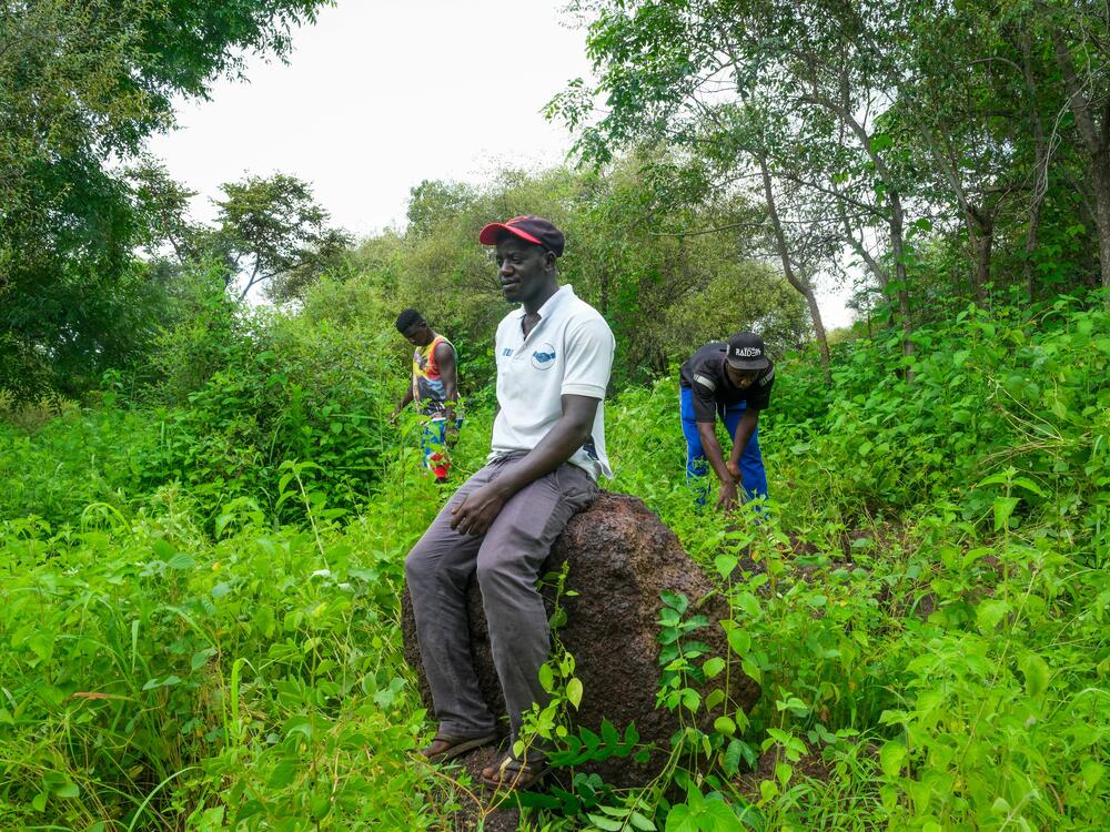 Bubacar Sane of Guinea-Bissau, whose family is descended from a ruler of the kingdom of Kaabu, poses at the site of Kansala, its capital city.