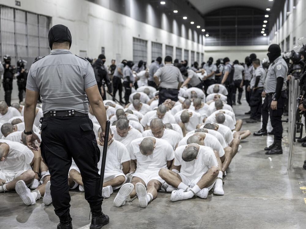 The Trump administration claims that everyone deported to El Salvador's notorious megaprison is a member of the Venezuelan gang Tren de Aragua, but it has not provided any evidence to support that claim.