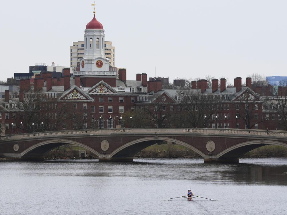 A sculler rows down the Charles River near Harvard University, at rear, on April 15, 2025, in Cambridge, Mass.