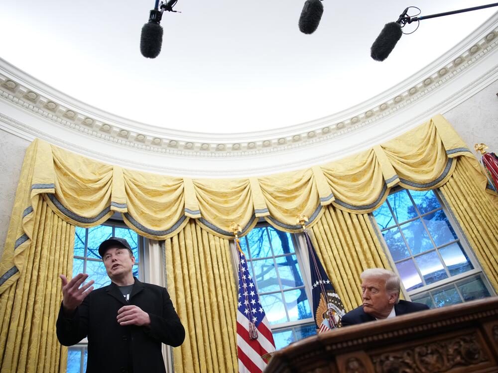 Musk speaks alongside President Trump in the Oval Office on Feb. 11.