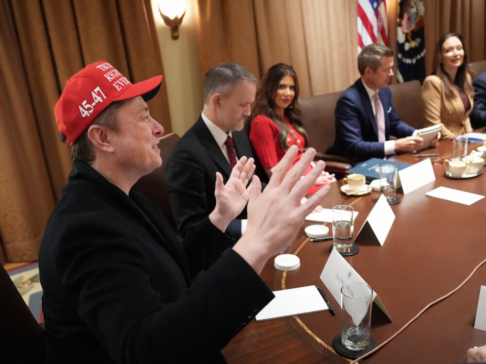Musk speaks during a Cabinet meeting at the White House on March 24.