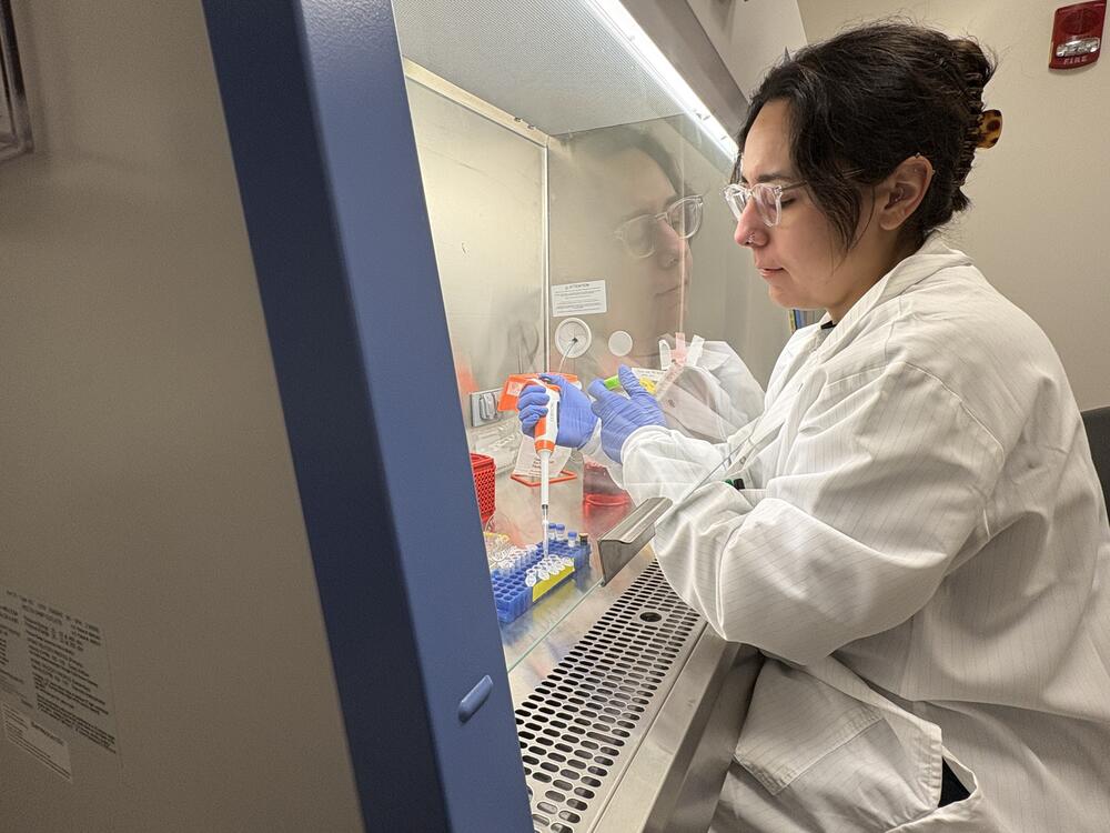 Adelaide Tovar, a postdoctoral geneticist at the University of Michigan, prepares cell samples in a science laboratory on campus. Tovar is one of about 200 young scientists who will lose research funding because the Trump administration abruptly ended the National Institute of Health's MOSAIC grant program. (Mike Hawkins)