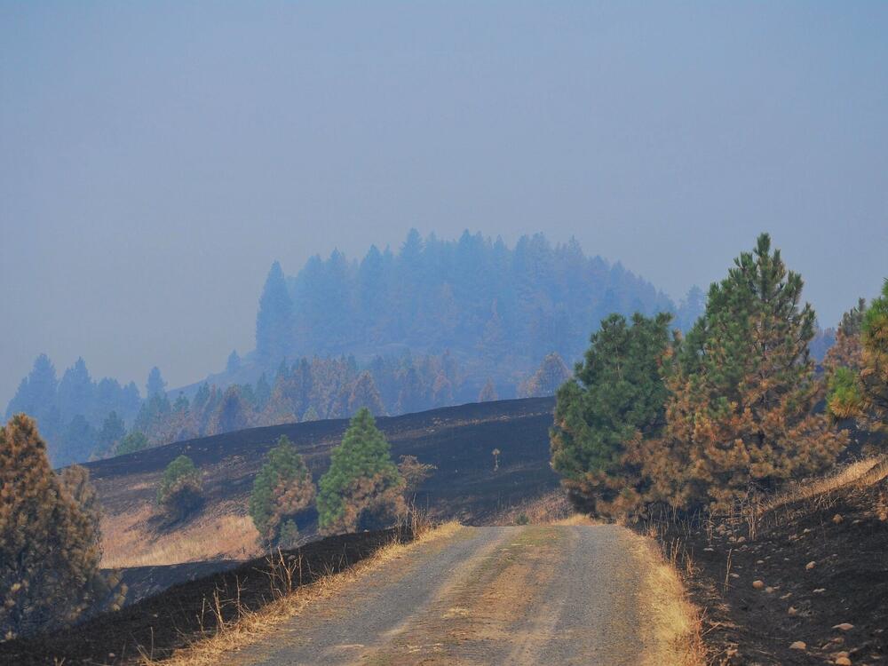 The Clearwater Complex Fire in 2015 was a wake-up call for the small community of Kamiah, Idaho. Its federal grant for wildfire preparation was just canceled.