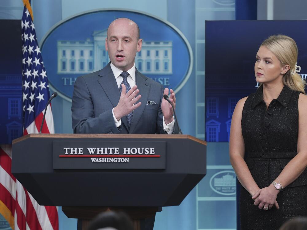 White House Deputy Chief of Staff Stephen Miller called gender-affirming care for children 