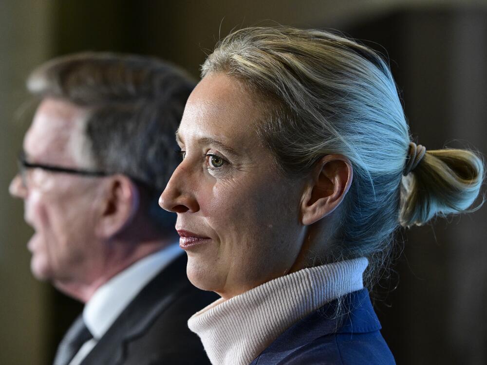 Alternative for Germany (AfD) MP Gerold Otten speaks to the media as co-leader of the far-right party Alice Weidel stands next to him on March 24, 2025, at the Bundestag (lower house of parliament) in Berlin.