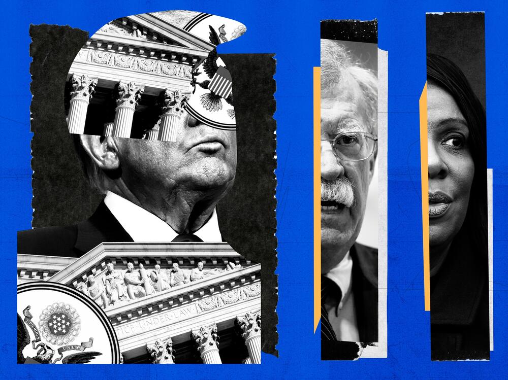Through ICE arrests, criminal investigations, firings and executive orders, President Trump has launched a sweeping campaign of retribution. The administration has targeted over 100 perceived enemies, including former Rep. Liz Cheney (left), Dr. Anthony Fauci, former national security adviser John Bolton and Letitia James, attorney general of New York.