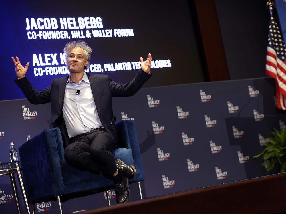 Alex Karp, Palantir's CEO, speaks on a panel at the U.S. Capitol on April 30, 2025 in Washington, DC.