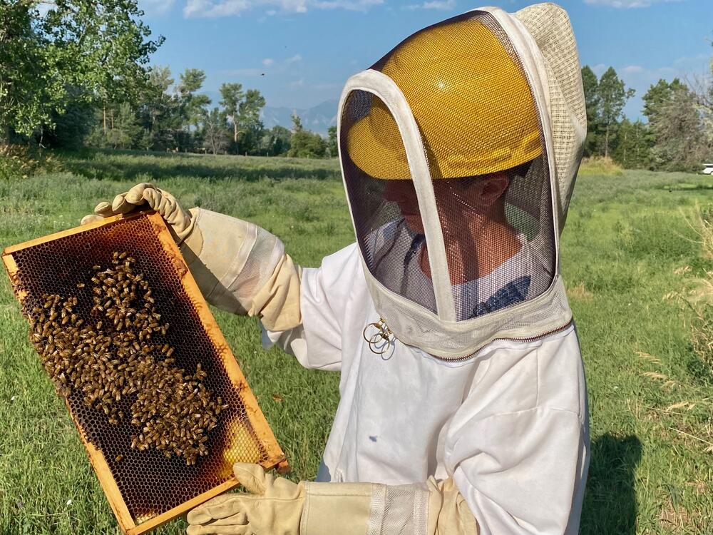 Kimberly Drennan, CEO and cofounder of Colorado company HiveTech Solutions, checking on her bees in Boulder.