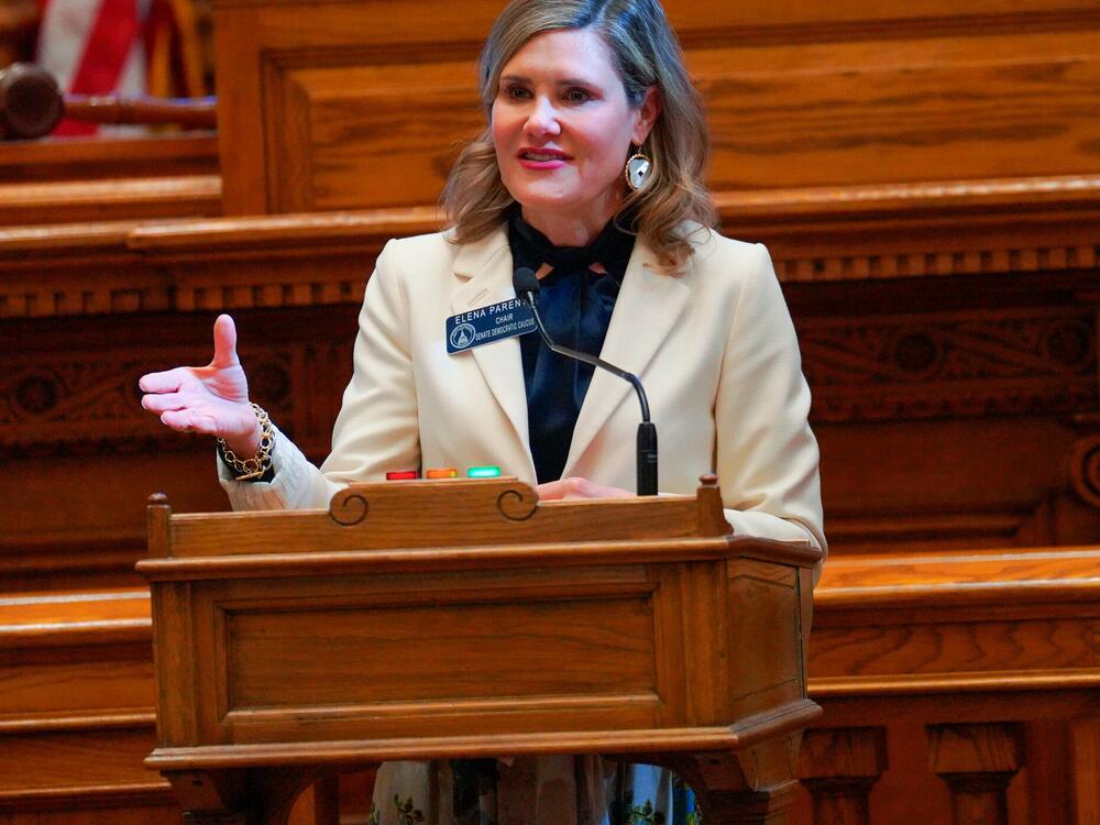 Georgia State Sen. Elena Parent, a Democrat from Atlanta, speaks on the Senate floor in March.