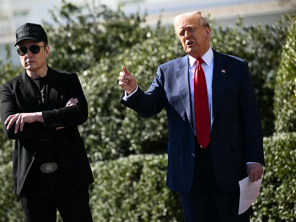 President Trump and his adviser Elon Musk speak to the press on March 11 in Washington, D.C.