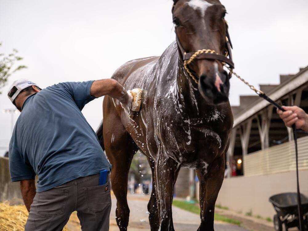 A worker bathes a racehorses on the backside of a horse racing track in Louisville, Ky., on April 30, 2025.