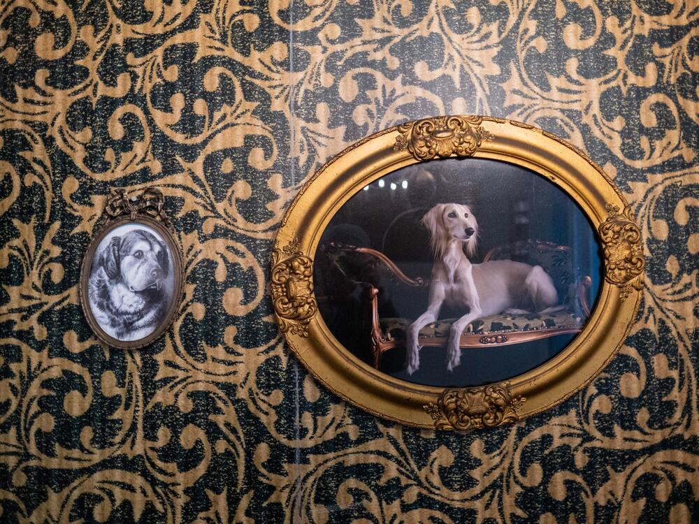 Gilt-framed dog portraits adorn the walls of a suite at the atFrits Dog Hotel and Daycare in Cape Town, South Africa. Over the last decade, luxury pet hotels have been springing up across the city.