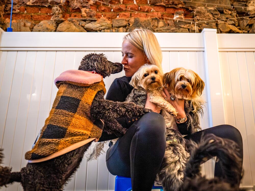 Yanic Klue, the founder of the atFrits Dog Hotel and Daycare, catches a break with some of the hotel guests.
