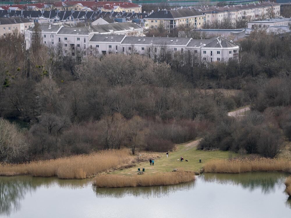 Because of increased flood risk related to global warming, Vienna is incorporating more ponds and green spaces in urban design to soak up excess water and better manage flooding.