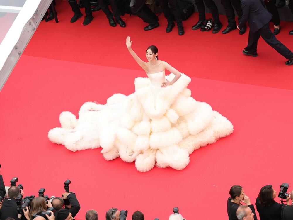 Cannes officials updated the film festival's dress code this year to ban full nudity and 
