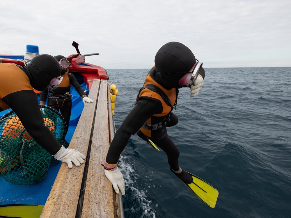 A South Korean female free diver jumps into the sea from a boat off the coast of Jeju Island on Jan. 15, 2022. New research has found that these women, known as Haenyeo, have specific genetic adaptations connected to cold tolerance and blood pressure.