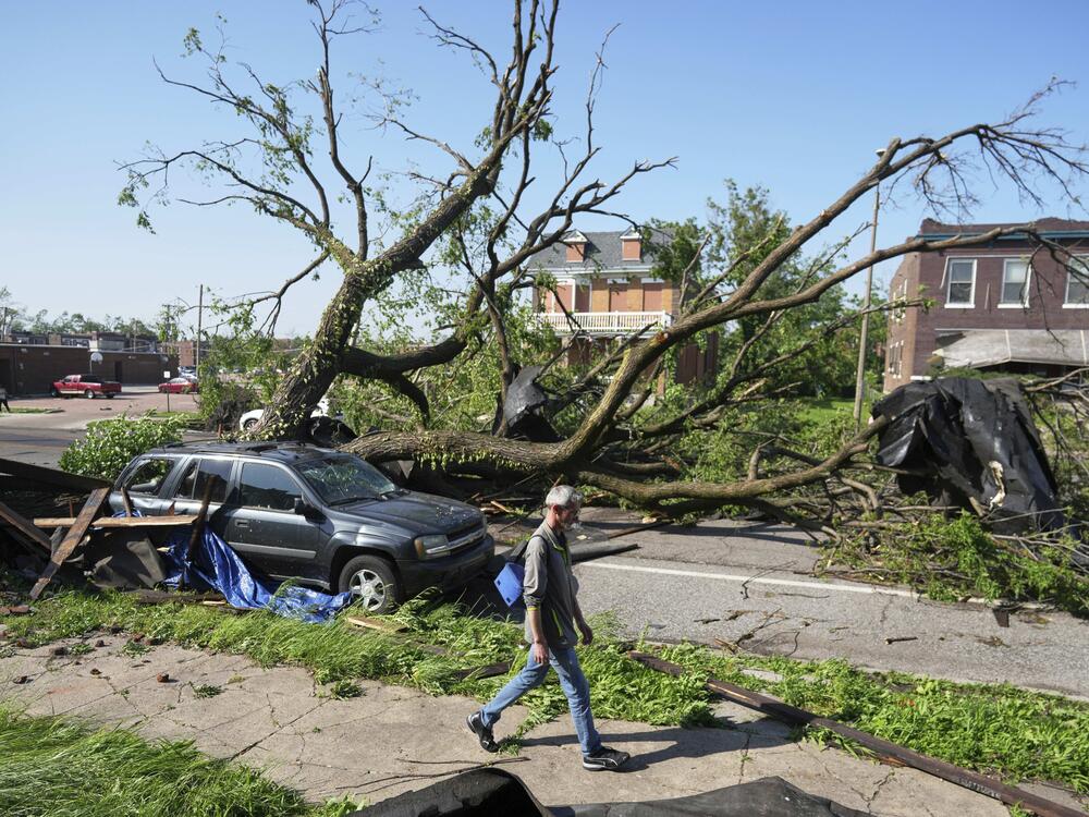 A person walks past a large tree blocking a road after a severe storm moved through St. Louis on Friday.