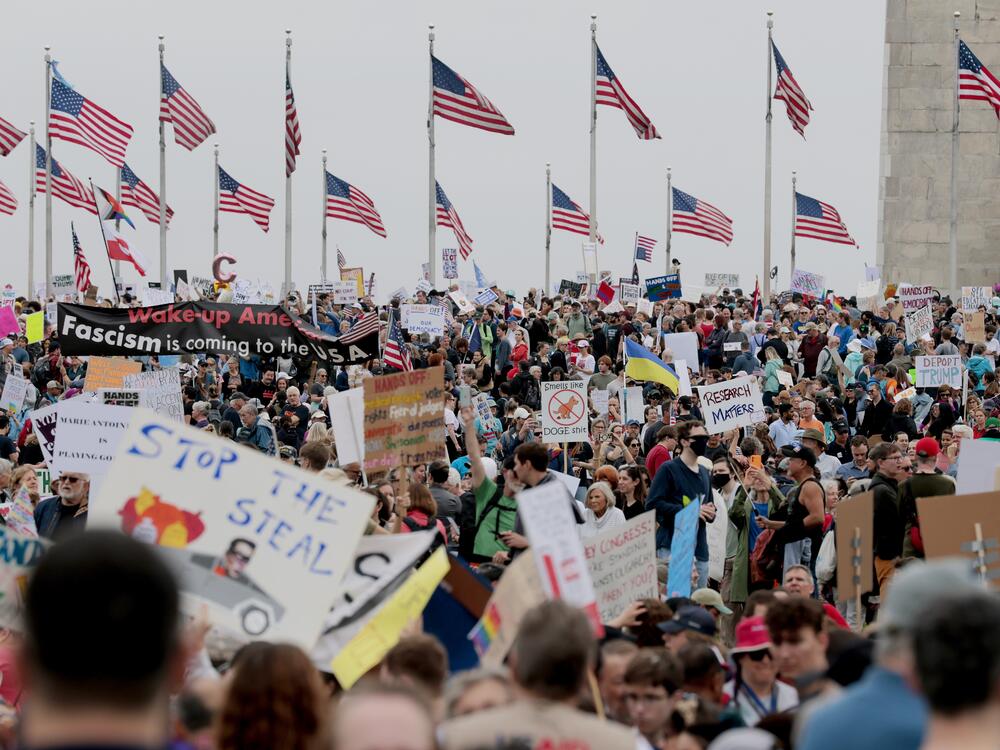 Protesters rally against the Trump administration and Elon Musk's Department of Government Efficiency in Washington, D.C., on the National Mall on April 5, 2025.