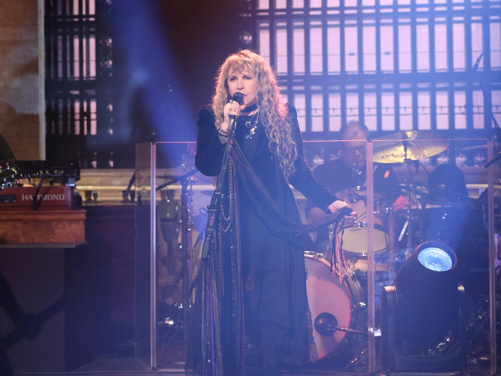 Stevie Nicks