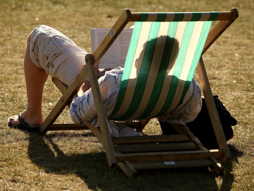A syndicated, AI-generated summer reading list featuring fake books by real authors was published in major newspapers this week. Above, a reader enjoys the sunshine in Hyde Park in London in 2009.