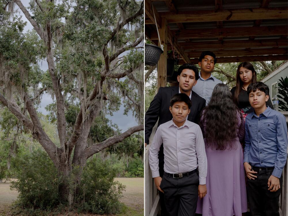 Spanish moss hangs off of a tree in front of the Ambrocio Gonzalez home, Saturday, May 10, 2025, in Tampa, Florida. The Ambrocio Gonzalez family pose for a portrait outside of their home, Sunday, May 11, 2025, in Tampa, Florida.