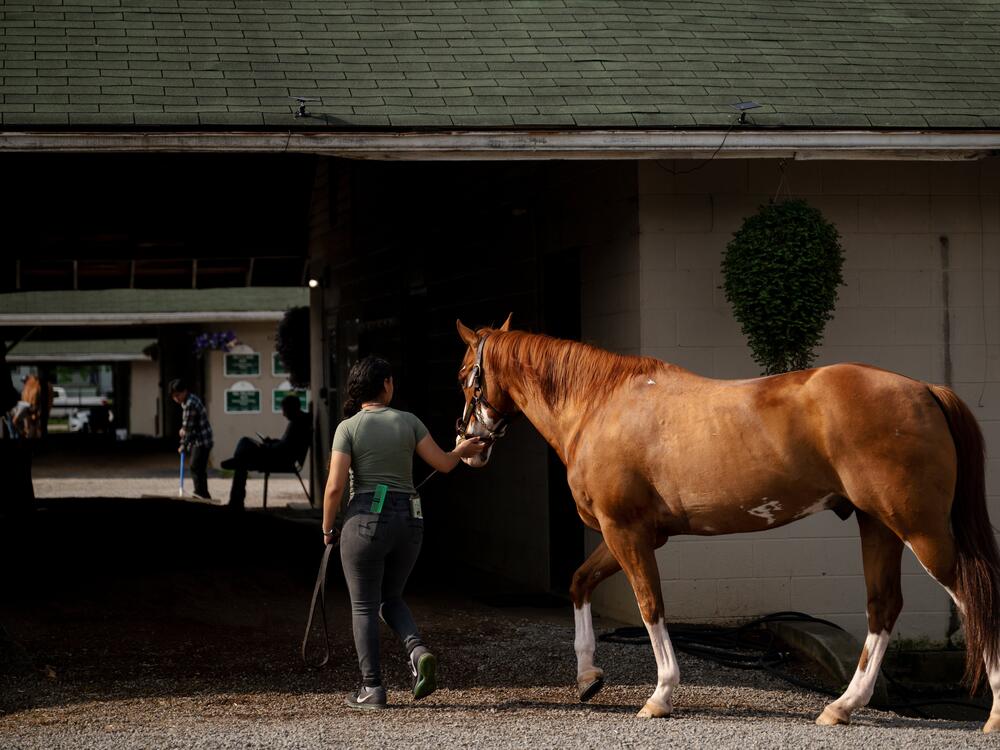 A worker leads a racehorse back to the stables on the backside of a horse racing track in Louisville, Ky., on April 29.