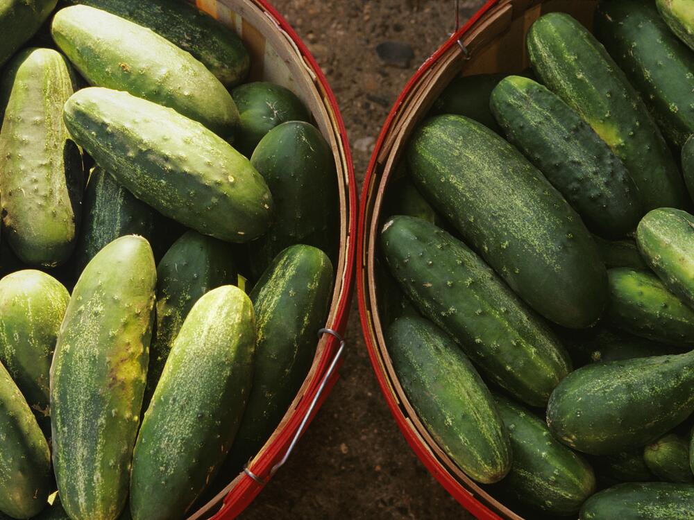 The FDA is warning people not to sell, serve or eat cucumbers grown by Bedner Growers and distributed by Fresh Start Produce Sales between April 29 and May 19.