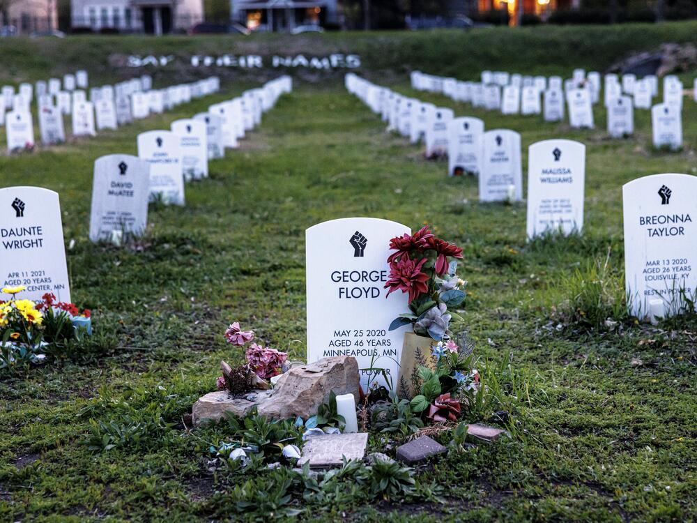 Headstones bearing the names of people killed by law enforcement stand in the 