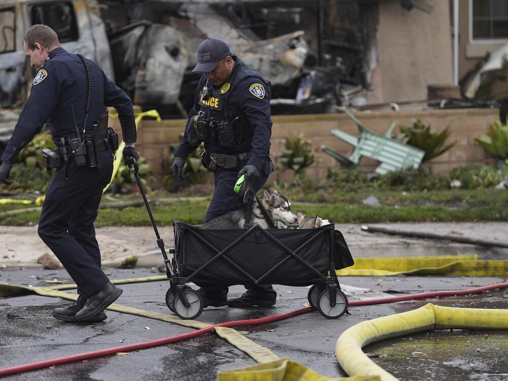 Police help rescue dogs from a home after a small plane crashed into a San Diego neighborhood earlier, setting several homes on fire and forcing evacuations along several blocks, Thursday, May 22, 2025.