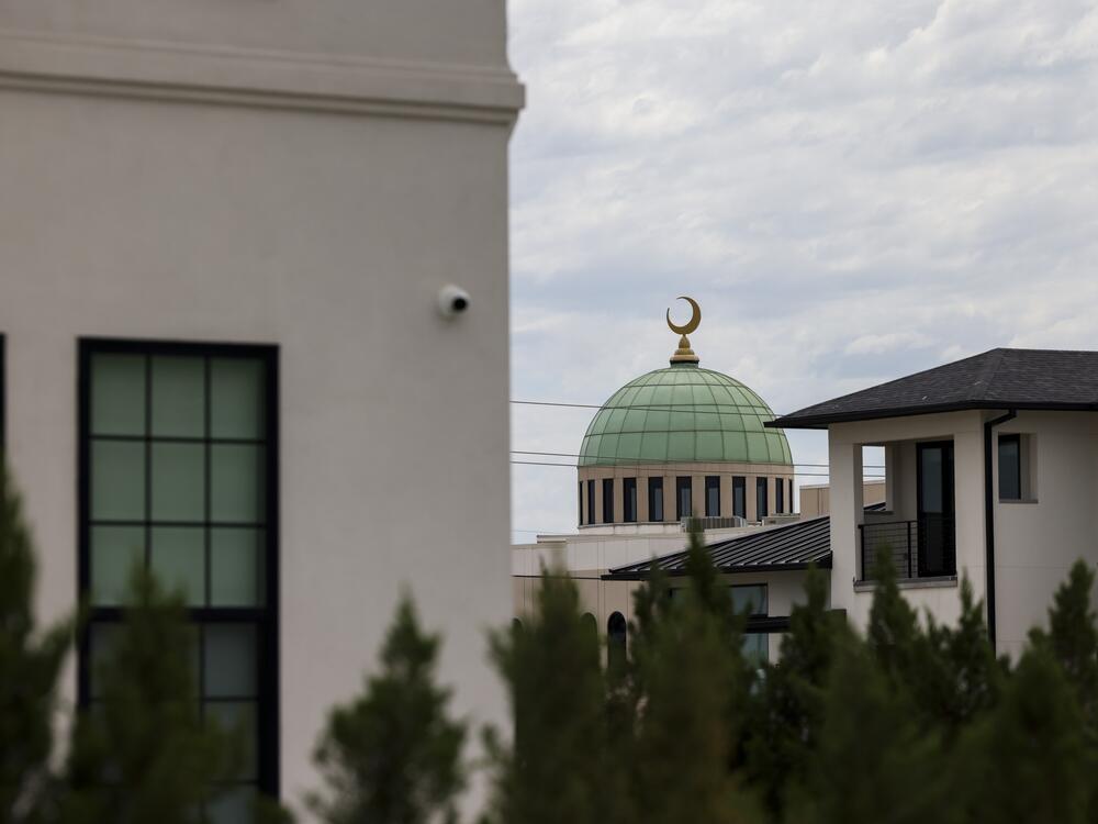 The Plano EPIC mosque is seen behind a row of homes in Plano. Many muslims like to live near their mosque to facilitate practicing their faith daily.