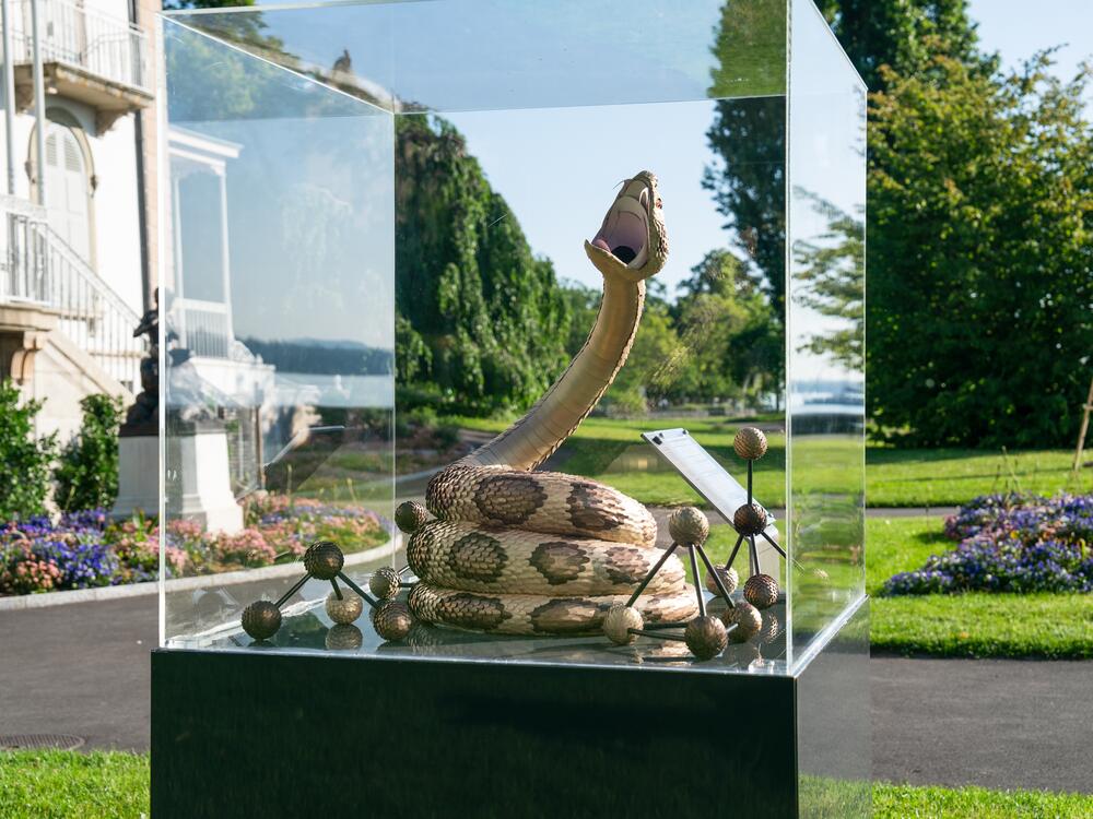 A statue of Russell's Viper — a venomous snake that lives in south and southeast Asia.