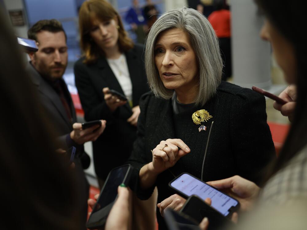 U.S. Sen. Joni Ernst, R-Iowa, speaks to reporters as she walks to a Senate luncheons at the U.S. Capitol on Nov. 19, 2024.