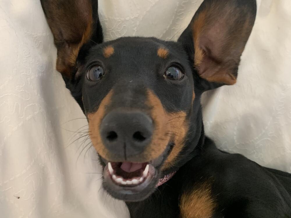A portrait of Valerie, before she went missing.