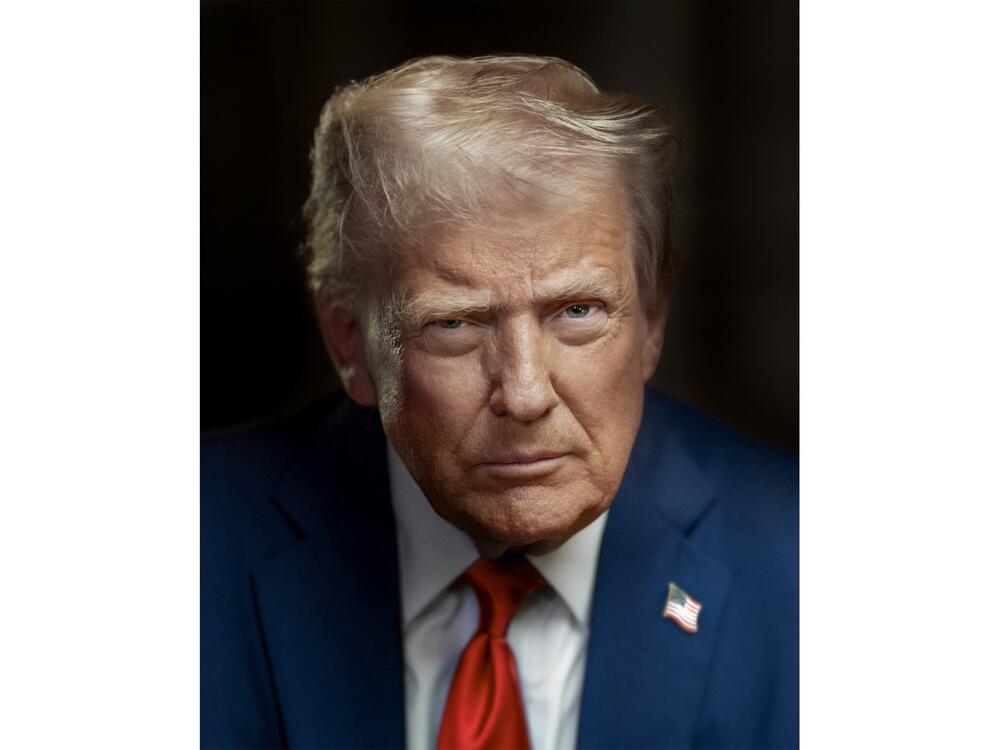 The new official portrait of Donald Trump shows the president staring into the camera with an expressionless face.