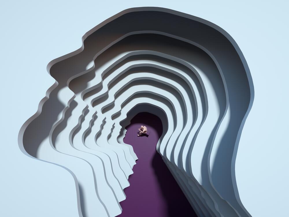 A study of mice and people looks at how the brain takes an experience and responds with an emotion.<br>