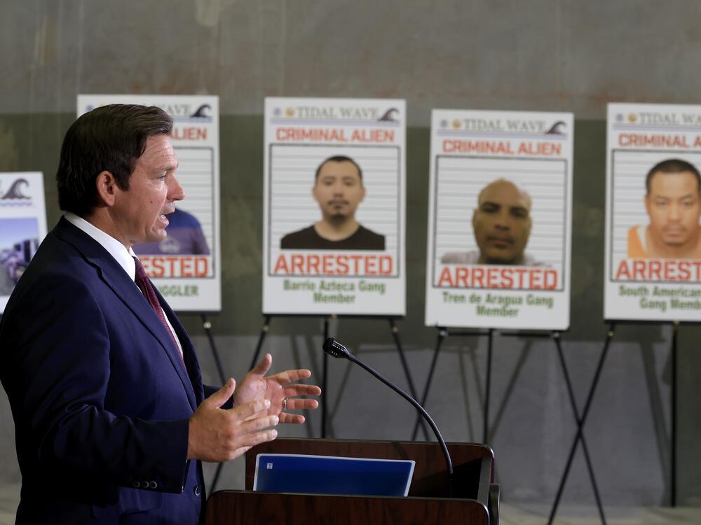 Florida Gov. Ron DeSantis speaks during a May 1 press conference at the ICE-Enforcement and Removal Operation office in Miramar, Fla. DeSantis talked about an immigration enforcement effort called Operation Tidal Wave that officials say resulted in more than 1,100 arrests in a week in Florida.