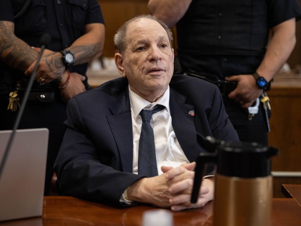 Former film producer Harvey Weinstein appears in criminal court in Manhattan on Friday.