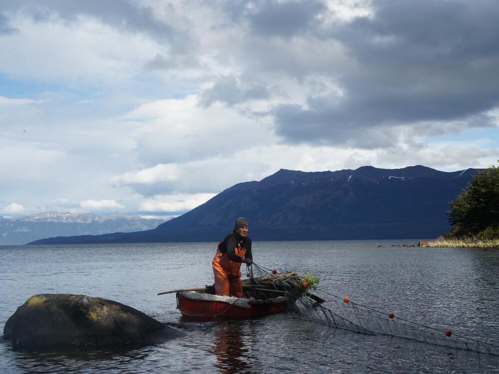 Reinaldo Caro hauls in his nets with a catch of sea bass in the Almirante Montt Gulf.