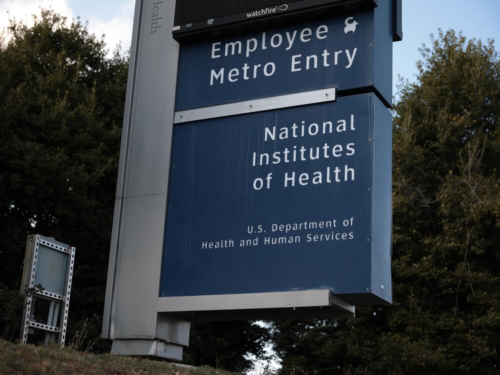 Hundreds of NIH scientists protested cuts to the research agency in a declaration addressed to NIH Director Jay Bhattacharya.