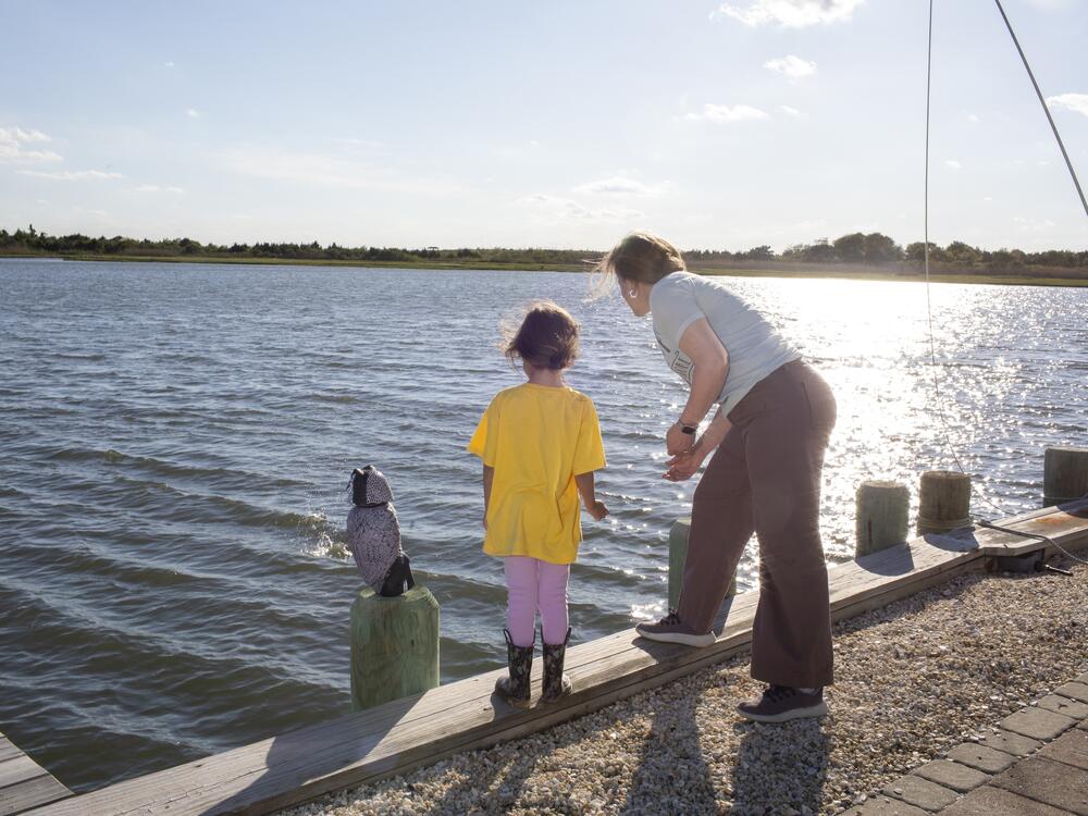Amanda Devecka-Rinear and her daughter can skip rocks from their front yard. Devecka-Rinear's home on a tiny island in Stafford Township, N.J., escaped damage during Superstorm Sandy because it happened to be raised for maintenance work. 