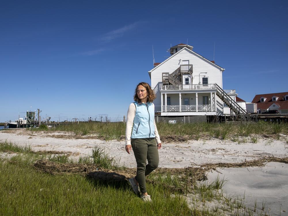 Lisa Auermuller, director of a coastal research initiative based at Rutgers University, says Superstorm Sandy was a wake-up call for New Jersey.